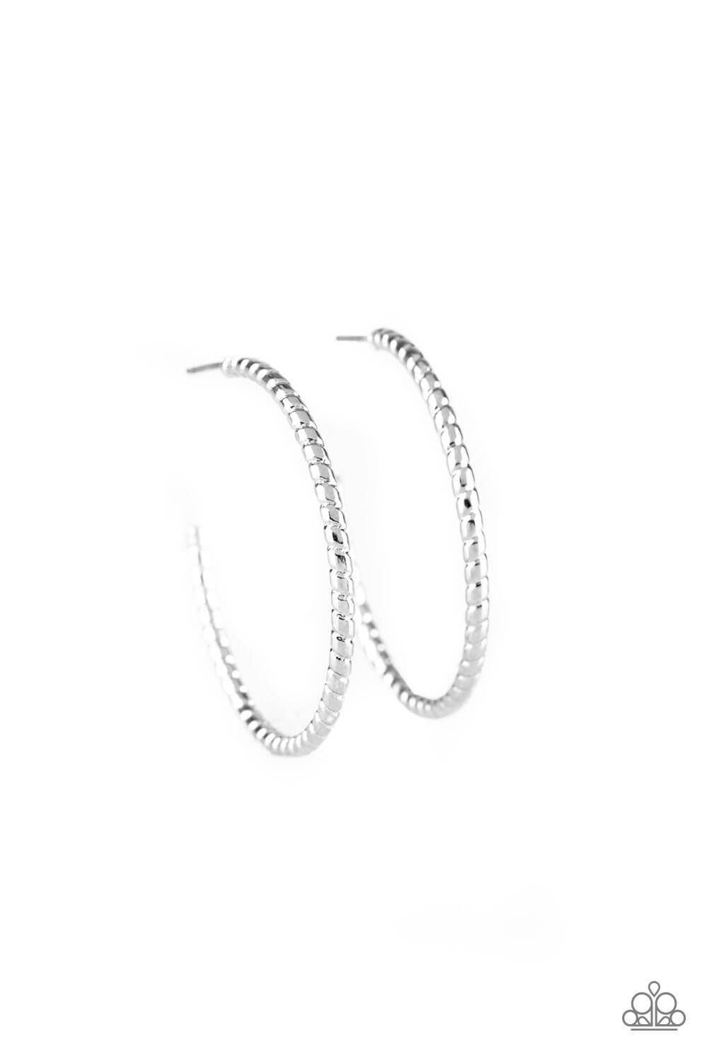 HOOP, Line, and Sinker - Silver Hoop Earrings - Princess Glam Shop